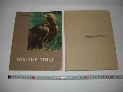 Книга \"Большая книга. Хищные птицы\" (укр) (Crystal Book) · eToys