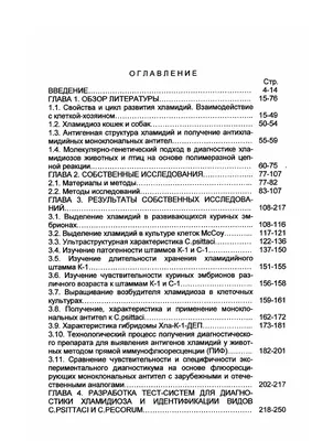 Кастрация собаки: плюсы и минусы, в каком возрасте лучше кастрировать  кобелей