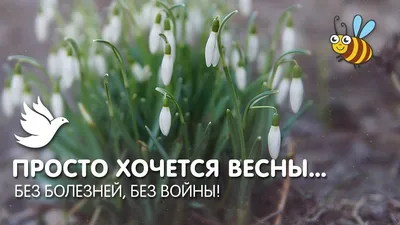 Картинки хочется весны (63 фото) » Картинки и статусы про окружающий мир  вокруг