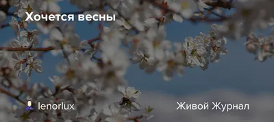 Уже как-то хочется весны, тюльпанчиков и счастья!🌷🌷🌷 | Наталья Стяжкина  | ВКонтакте