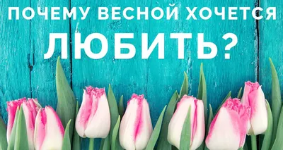 Прости февраль,я от тебя устала.Хочу весну и солнечные дни. ~ Открытка  (плейкаст)