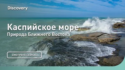 Каспийское море | Природа Ближнего Востока | Discovery - YouTube