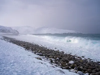 Море - фотообои для спальни в интернет магазин arte.ru. Заказать обои Море  (2136)