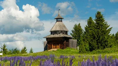 Этнографический музей \"Хохловка\" - Праздник-Тур