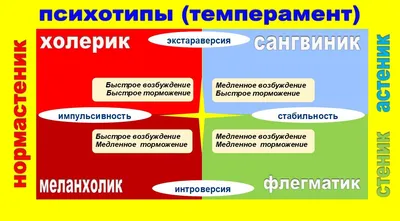 Типы темперамента: холерик, сангвиник, флегматик, меланхолик — что это  такое? Определение простым и понятным языком... | Интроверт, Психология  труда, Инфографика