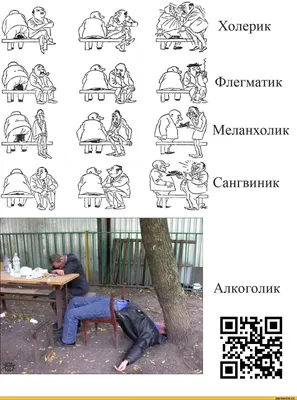 Темперамент холерик