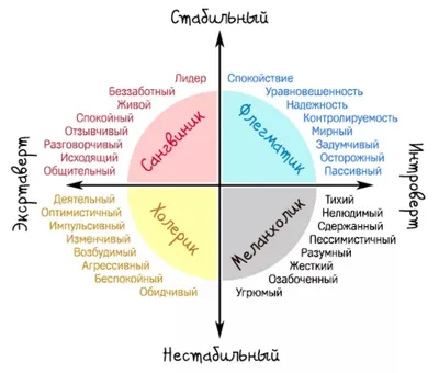 Холерик: истории из жизни, советы, новости, юмор и картинки — Все посты |  Пикабу