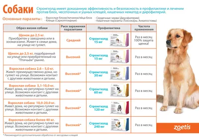 Фронтлайн Комбо S, капли на холку для собак массой 2–10 кг, уп. 1 пипетка  купить недорого