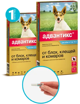 MoxiShield Капли противопаразитарные на холку для собак от 25 до 40 кг -  ZooAlliance.ua