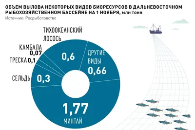 Новости. Транспорт