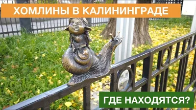 Хомлины города Калининграда, маленькие хранители Янтарного края /  Путешествия и туризм / iXBT Live