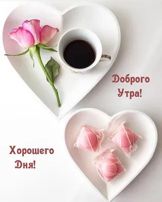 С добрым утром!🌞💐Самого хорошего дня и отличного настроения!🥰#сдобр... |  TikTok