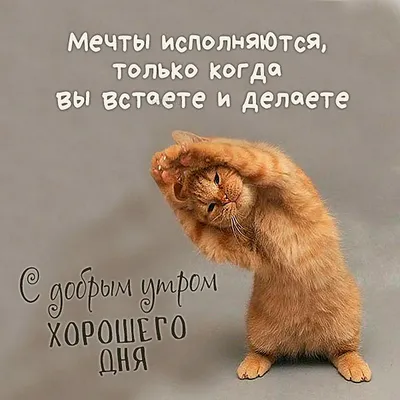 Картинки \"Хорошего и доброго дня\" (95 открыток)