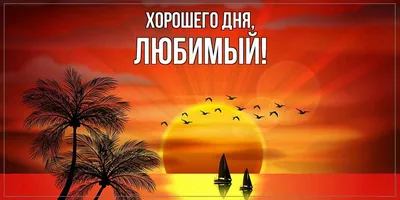 Пожелания хорошего дня в картинках, своими словами, в стихах, в смс и  христианские пожелания доброго дня — Украина