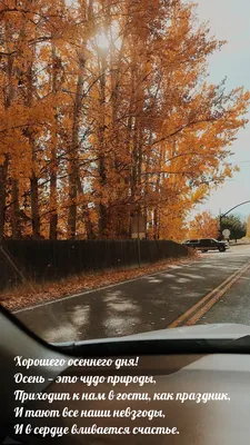 Добрые пожелания 💞 Открытки | 🍂 Доброго осеннего утра ☕ Хорошего удачного  дня 💕👍🍁 | Дзен