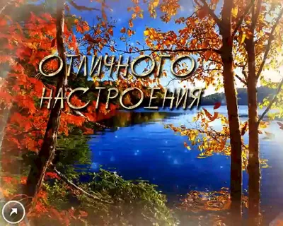 🍂🍁 ДОБРОЕ УТРО, ДРУЗЬЯ! ОТЛИЧНОГО ДНЯ! 🍁🍂 Последние теплые дни октября  А дальше зимняя прохлада.. | ВКонтакте