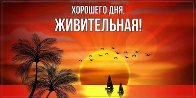 Хорошего дня картинка девушке любимой с цветами