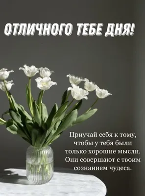 Хорошего дня тебе! Добрых новостей и... - Видео поздравления | Facebook