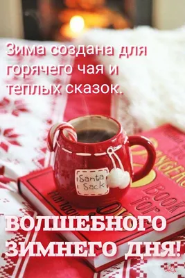 Доброе утро и хорошего дня #доброеутро #хорошегодня #зима | Instagram