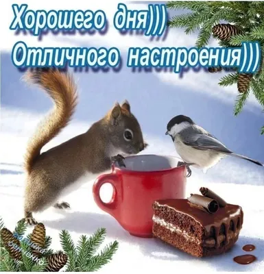 Зимние открытки \"Доброго утра!\" (236 шт.)