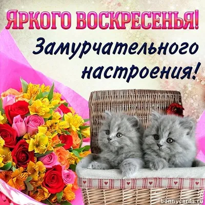 Новая открытка с воскресеньем, хорошего отдыха - GreetCard.ru