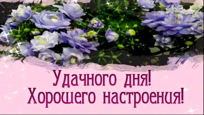 С добрым утром, хорошего настроения, удачного дня | Открытки, Праздничные  цитаты, Милые записки