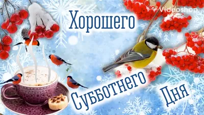 ХОРОШЕГО ВАМ СУББОТНЕГО ДНЯ!💮 . . У нас традиционно суббота - день бабушки  с дедушкой🙏❤ День, когда малышей забирают на прогулку и есть… | Instagram