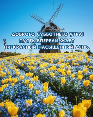 Отличного субботнего денечка и отличного настроения - фото и картинки  abrakadabra.fun