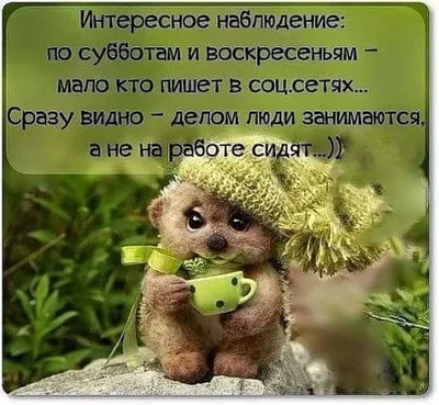 Дом Позитива - Хорошего вам выходного дня 🌹 | Facebook