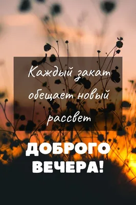 ДОБРЫЙ ВЕЧЕР. ПОЖЕЛАНИЯ ДОБРОГО ВЕЧЕРА. САМОГО СПОКОЙНОГО, ВОЛШЕБНОГО ВАМ  ВЕЧЕРА | Поздравления,открытки,пожелания | Дзен