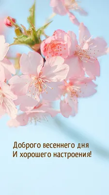 Аквацентр Виктория - С Добрым утром! Хорошего дня и прекрасного весеннего  настроения!! #веснаидет #весна #мынакарантине | Facebook