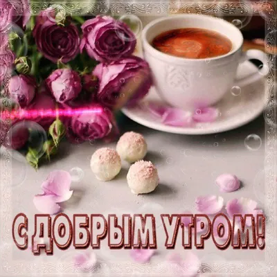 С добрым утром!🌞💐Самого хорошего дня и отличного настроения!🥰#сдобр... |  TikTok