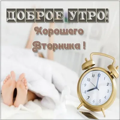 Доброе Утро! Хорошего Вторника! | Мультяшные Поздравления | Дзен