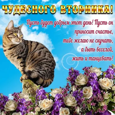 Открытки \"Доброго утра!\" во вторник (100+)