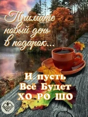 доброеутро #☕️🍫🍰🌾⚘️☘️🌿хорошего #вторника ##CapCutAmor #70373490323... |  TikTok