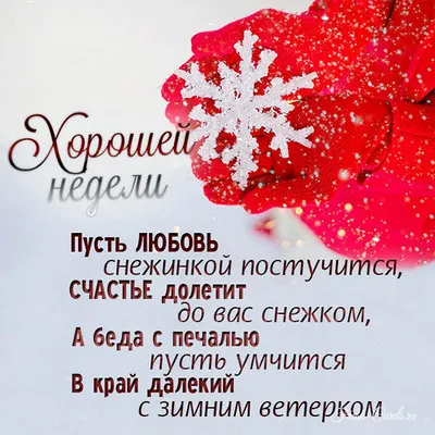 Хорошей недели 🌹🌹🌹♥️ #пожеланка | Instagram