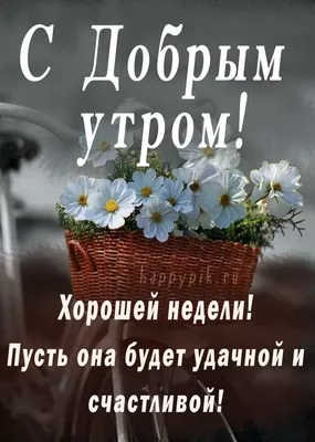 Доброе утро хорошей недели! Пожелания удачной недели. | Place card holders,  Decorative wicker basket, Cards