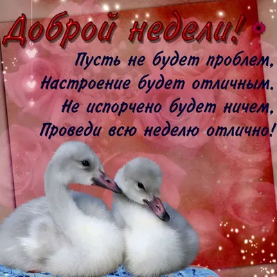 Открытка хорошей недели 2 - sendpic.com.ua