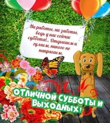 Всем желаю отличной субботы))