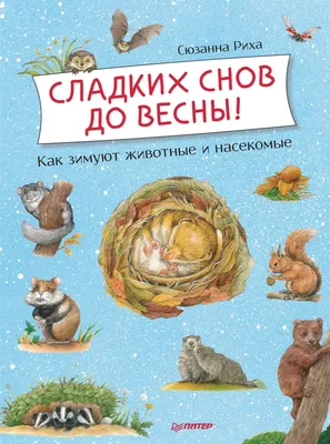 Картинка с котиками желающими сладких снов, скачать бесплатно