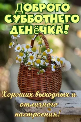 Доброе утро! Хороших выходных!#свыходными#доброеутро#выходные | TikTok