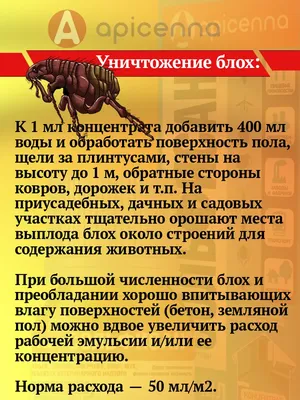 Борьба с возражениями в холодных продажах | Скорозвон