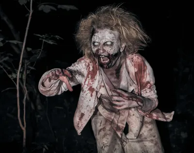 The Evolutionary Reasons We Are Drawn to Horror Movies and Haunted Houses |  Scientific American