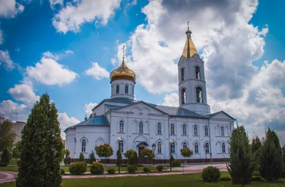 В Белгороде казакам рассказали, как себя вести в церкви — FONAR.TV