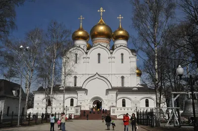 Церковь Ильи Пророка в Ярославле: фото, история, отзывы, как добраться