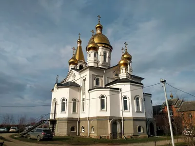 Кафедральный собор Краснодара приглашает на богословские курсы -  Православное образование