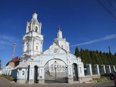 Кафедральный собор Благовещения Пресвятой Богородицы, православный храм,  просп. Революции, 14В, Воронеж — Яндекс Карты