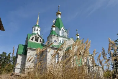 Собор Покрова Пресвятой Богородицы - Воронежский исторический форум