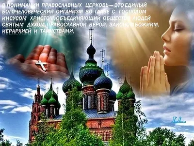 Ирочка, огромное тебе спасибо! Храни тебя Господь!🙏 От Ирины Анатольевны  Н.- 2000р. | ВКонтакте