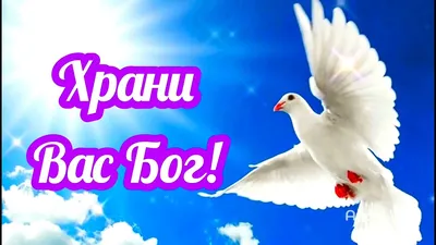 Что нужно отвечать на фразу: \"Храни вас Господь\" | Торжество православия |  Дзен